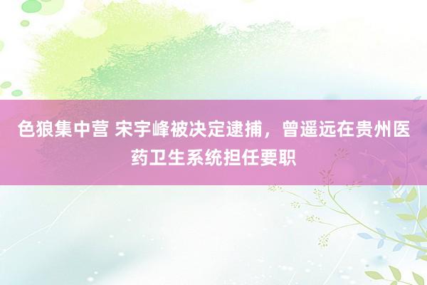 色狼集中营 宋宇峰被决定逮捕，曾遥远在贵州医药卫生系统担任要职