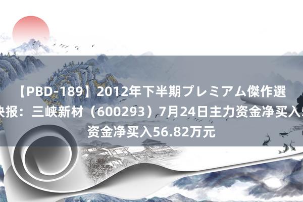 【PBD-189】2012年下半期プレミアム傑作選 股票行情快报：三峡新材（600293）7月24日主力资金净买入56.82万元