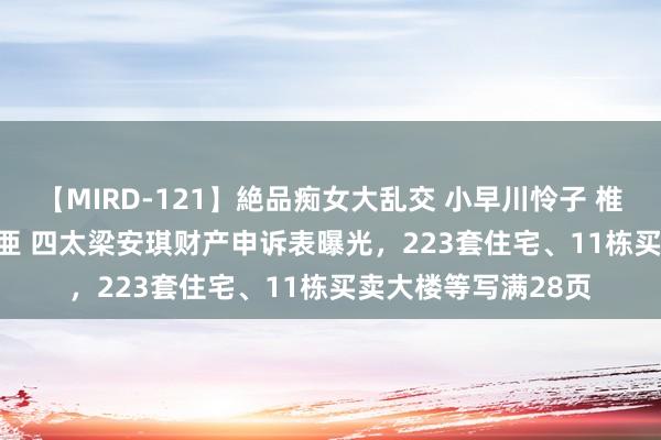 【MIRD-121】絶品痴女大乱交 小早川怜子 椎名ゆな ASUKA 乃亜 四太梁安琪财产申诉表曝光，223套住宅、11栋买卖大楼等写满28页