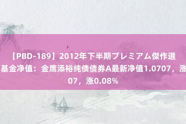 【PBD-189】2012年下半期プレミアム傑作選 8月2日基金净值：金鹰添裕纯债债券A最新净值1.0707，涨0.08%