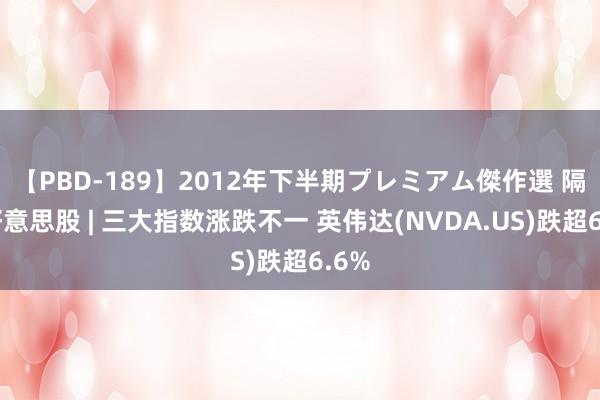 【PBD-189】2012年下半期プレミアム傑作選 隔夜好意思股 | 三大指数涨跌不一 英伟达(NVDA.US)跌超6.6%