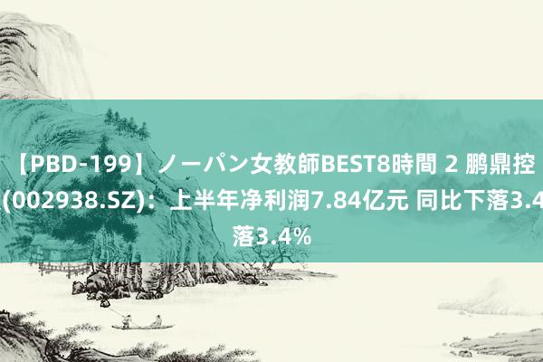 【PBD-199】ノーパン女教師BEST8時間 2 鹏鼎控股(002938.SZ)：上半年净利润7.84亿元 同比下落3.4%