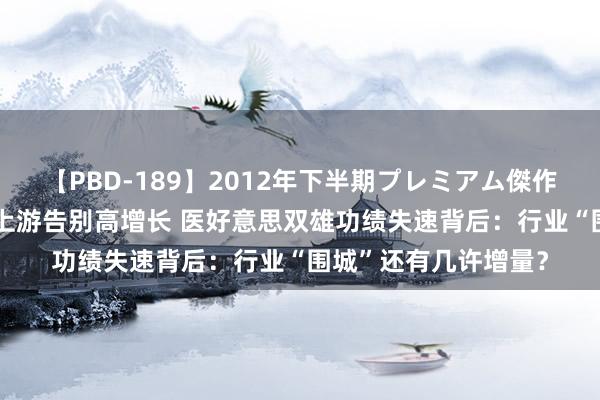 【PBD-189】2012年下半期プレミアム傑作選 下流价钱战未停 上游告别高增长 医好意思双雄功绩失速背后：行业“围城”还有几许增量？