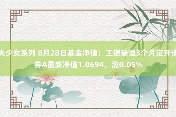 失少女系列 8月28日基金净值：工银瑞恒3个月定开债券A最新净值1.0694，涨0.05%