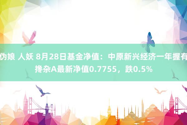 伪娘 人妖 8月28日基金净值：中原新兴经济一年握有搀杂A最新净值0.7755，跌0.5%