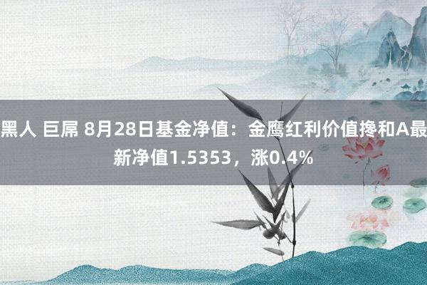 黑人 巨屌 8月28日基金净值：金鹰红利价值搀和A最新净值1.5353，涨0.4%