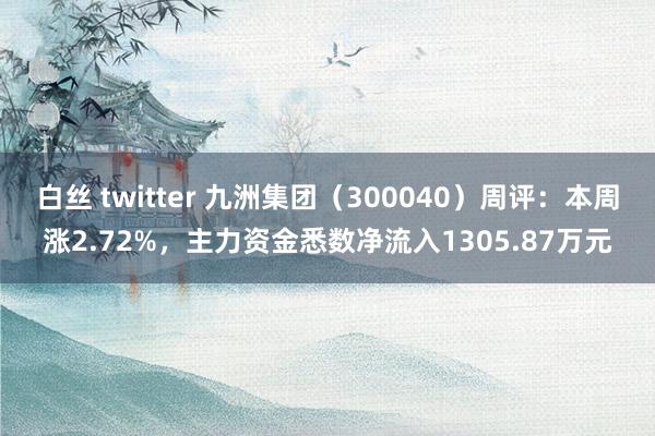 白丝 twitter 九洲集团（300040）周评：本周涨2.72%，主力资金悉数净流入1305.87万元