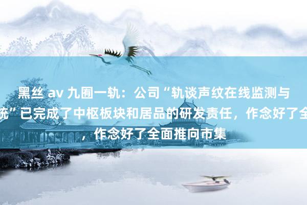 黑丝 av 九囿一轨：公司“轨谈声纹在线监测与智谋运维系统”已完成了中枢板块和居品的研发责任，作念好了全面推向市集